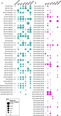 Developmental Regulation and Functional Prediction of microRNAs in an Expanded Fasciola hepatica miRNome